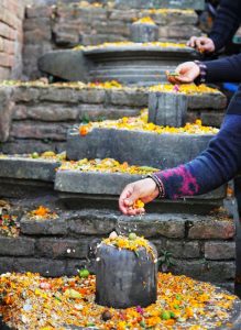 आज बाला चतुदर्शी, सतबिज छरी मनाइदै