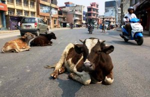 कथा मै सिमित रह्यो भक्तपुरको कान्जी हाउस