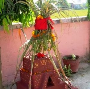 आज हरिबोधनी एकादशी तुलसीको विवाह गरी मनाइदैैं
