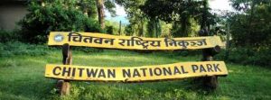 चितवन राष्ट्रिय निकुञ्जमा पर्यटक आगमनमा दोब्बर वृद्धि