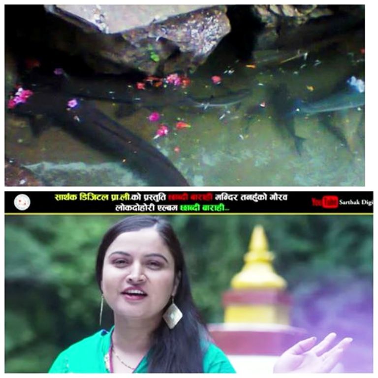 छाब्दी बाराही लोक दोहोरी गीतको म्यूजिक भिडियो सार्वजनिक (भिडियोसहित)