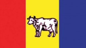 राप्रपाले बोलायो आकस्मिक बैठक