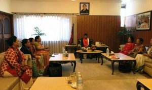 सरकारमा ३३ प्रतिशत महिला सहभागिता माग