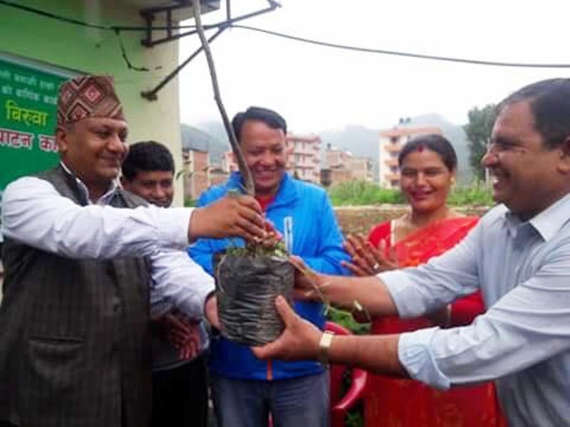 नगरपालिकाको बृक्षरोपण अभियानमा स्थानीयको विरोध