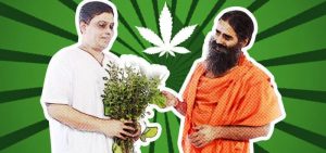 गाँजाबाट औषधि बनाउने तयारीमा रामदेवको पतञ्जली