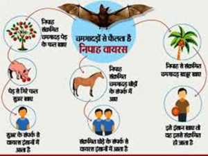 भारतमा फैलियो ज्यानमारा भाइरसको संक्रमण