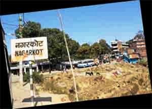 नगरकोटमा वन अतिक्रमण गरि बनेका संरचना हटाउन पन्ध्र दिने अल्टिमेटम