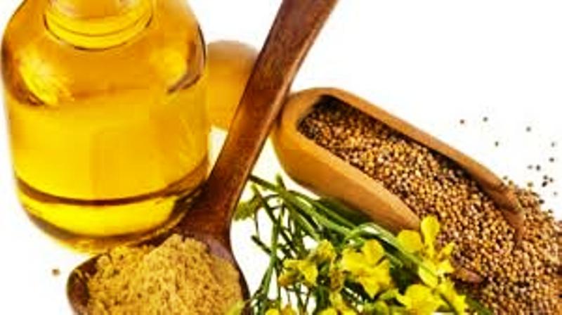 तोरीको तेल कपाल तथा छालाको सौन्दर्यको लागि  उपयोगी