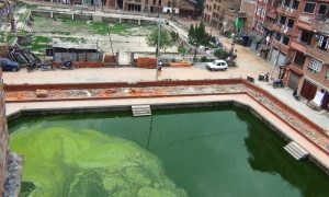 थिमि  नपाका प्रमुखको मनपरिकै कारण उपभोक्ता समिति ऋणमा
