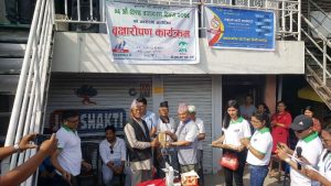 छ लेन सडक छेउमा वृक्षारोपण