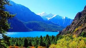 के सिक्ने प्रकृतिबाट ?