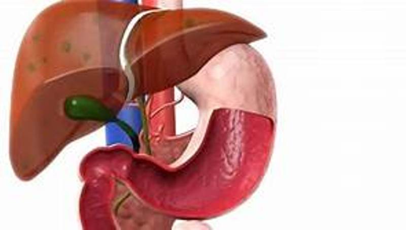के लक्षण देखिए कलेजोमा समस्या हुनसक्छ