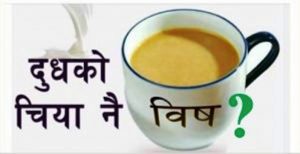 दूधको चिया हानिकारक