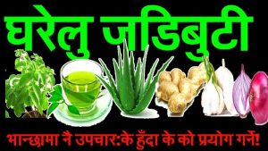 भान्सामै औषधि : यी हुन् आपतकालिन उपचारमा प्रयोग हुने ११ जडिबुटी