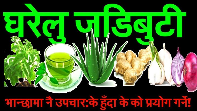 भान्सामै औषधि : यी हुन् आपतकालिन उपचारमा प्रयोग हुने ११ जडिबुटी