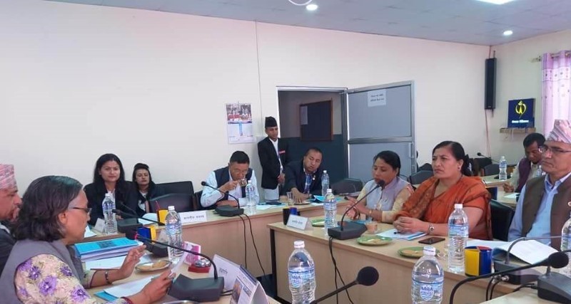 सूचना प्रविधि विधेयक पारित गर्ने प्रयास दोस्रो पटक पनि असफल