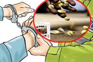 जुवातास खेलिरहेको अवस्थामा विभिन्न स्थानबाट ३४ जना पक्राउ