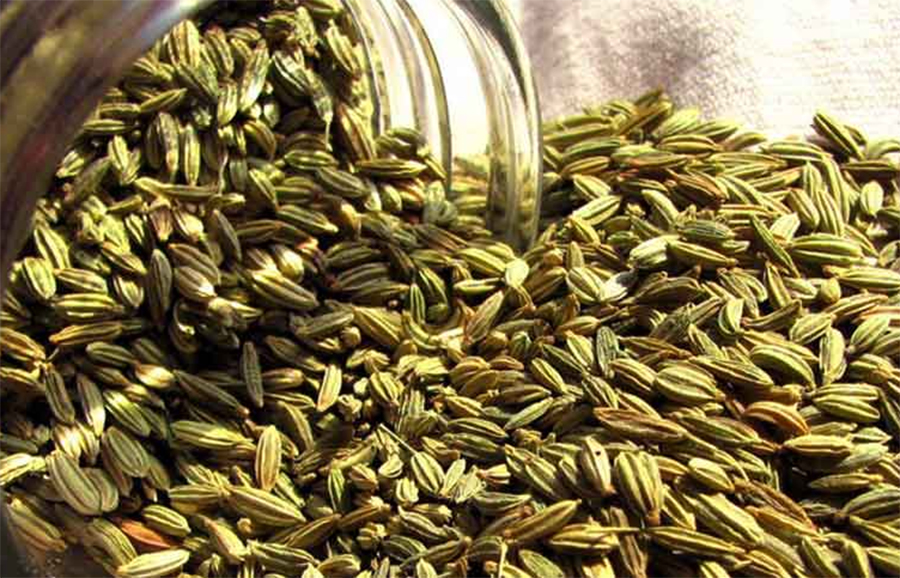 खानापछि सौंफ खानु स्वास्थ्यका लागि फाइदा कि बेफाइदा ?