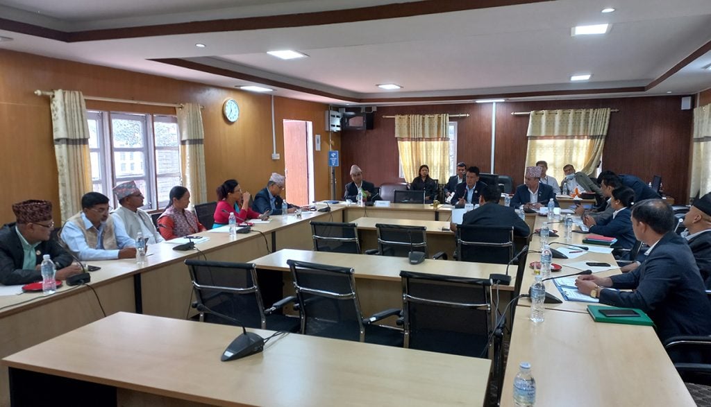 बाढीपहिरो र डुबानपछि सरकारलाई संसदीय समितिले दिएका चारबुँदे निर्देशन