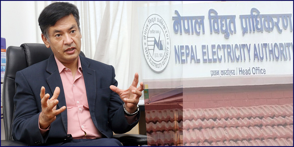 विद्युत प्राधिकरणको कार्यकारी निर्देशकमा हितेन्द्रदेव शाक्य नियुक्त