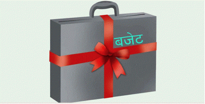 आर्थिक वर्ष २०८१/०८२ को बजेट सार्वजनिक गरिँदै