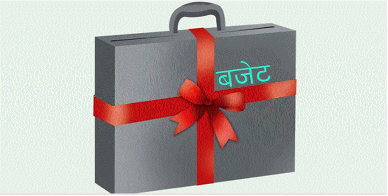 आर्थिक वर्ष २०८१/०८२ को बजेट सार्वजनिक गरिँदै